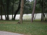 PC150019