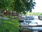 No Caption